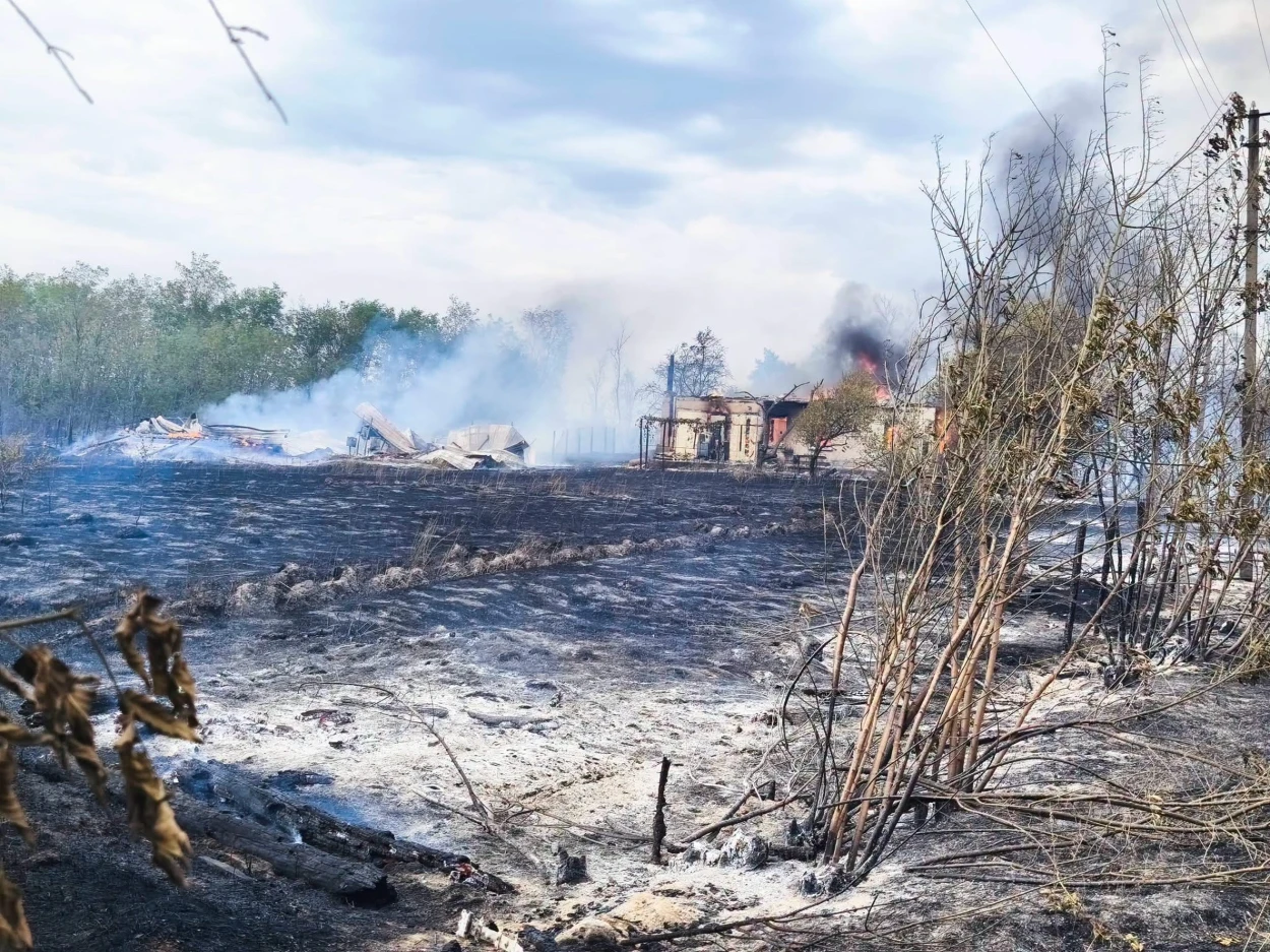 На Переяславщині під час пожежі вигоріли три вулиці в селі, жителі розповіли, як це було ФОТО