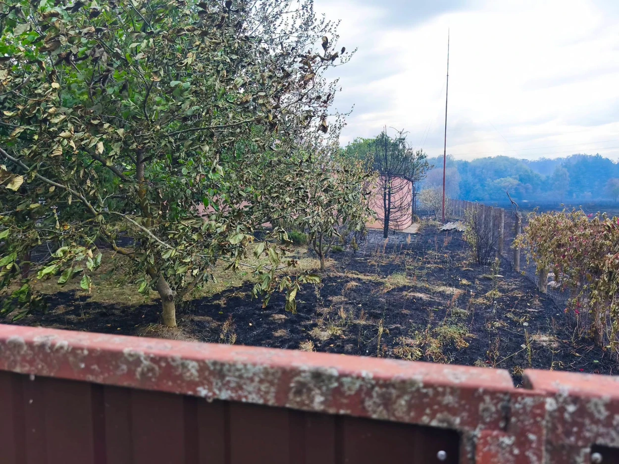 На Переяславщині під час пожежі вигоріли три вулиці в селі, жителі розповіли, як це було ФОТО