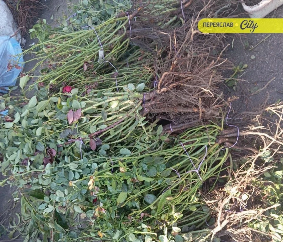 У Переяславі на базарі найдешевше сало було по 350 гривень, а лісові гриби віддавали по 150 за кіло