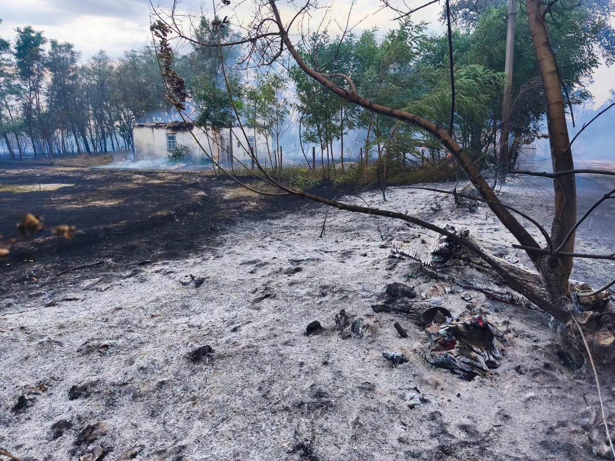 На Переяславщині під час пожежі вигоріли три вулиці в селі, жителі розповіли, як це було ФОТО