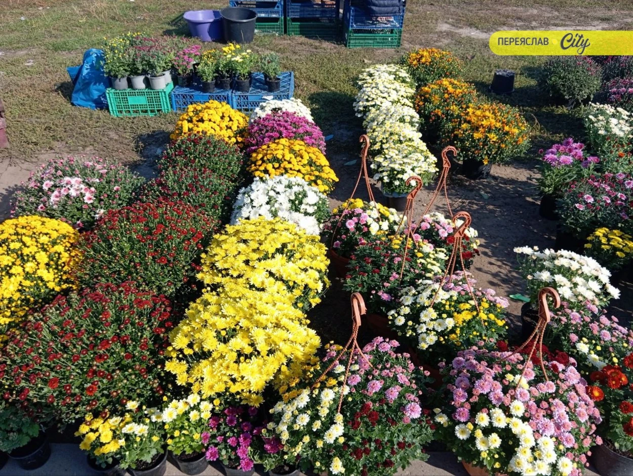На базарі в Переяславі білі гриби продавали по 400 гривень за кіло, така ж ціна і на домашнє масло