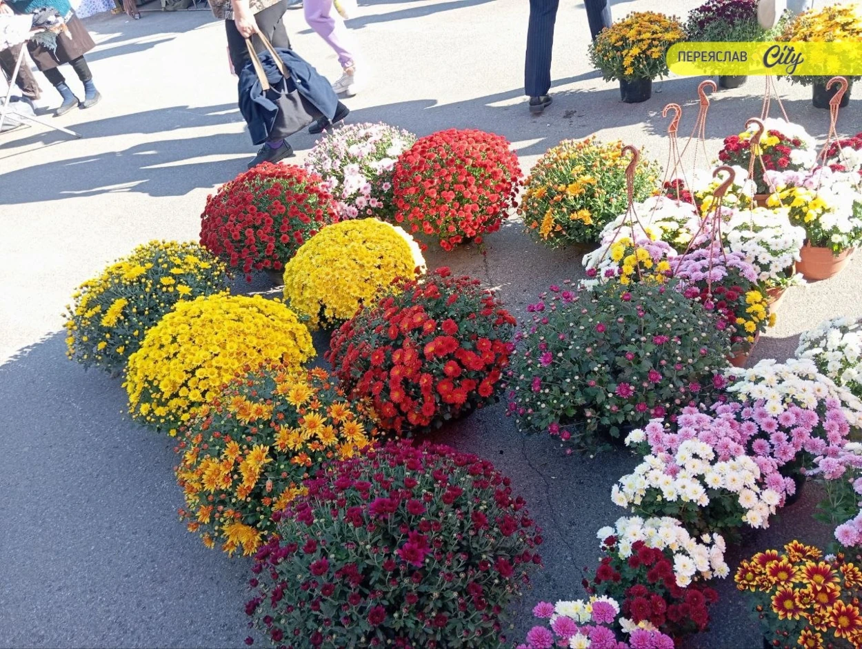 У Переяславі на базарі найдешевше сало було по 350 гривень, а лісові гриби віддавали по 150 за кіло