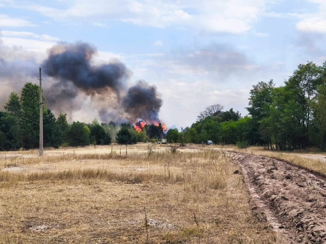 На Переяславщині під час пожежі вигоріли три вулиці в селі, жителі розповіли, як це було ФОТО