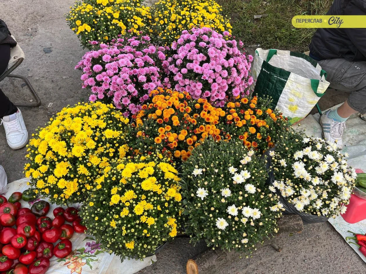 На базарі в Переяславі свинна підчеревина подорожчала до 450, а домашні яйця були й по 90 грн