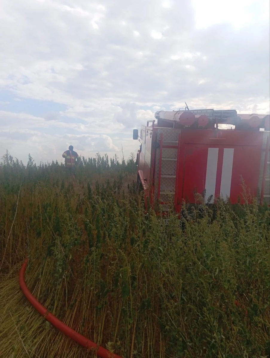 У селі Студениківської громади другий день гасять займання сухостою поблизу торфовища