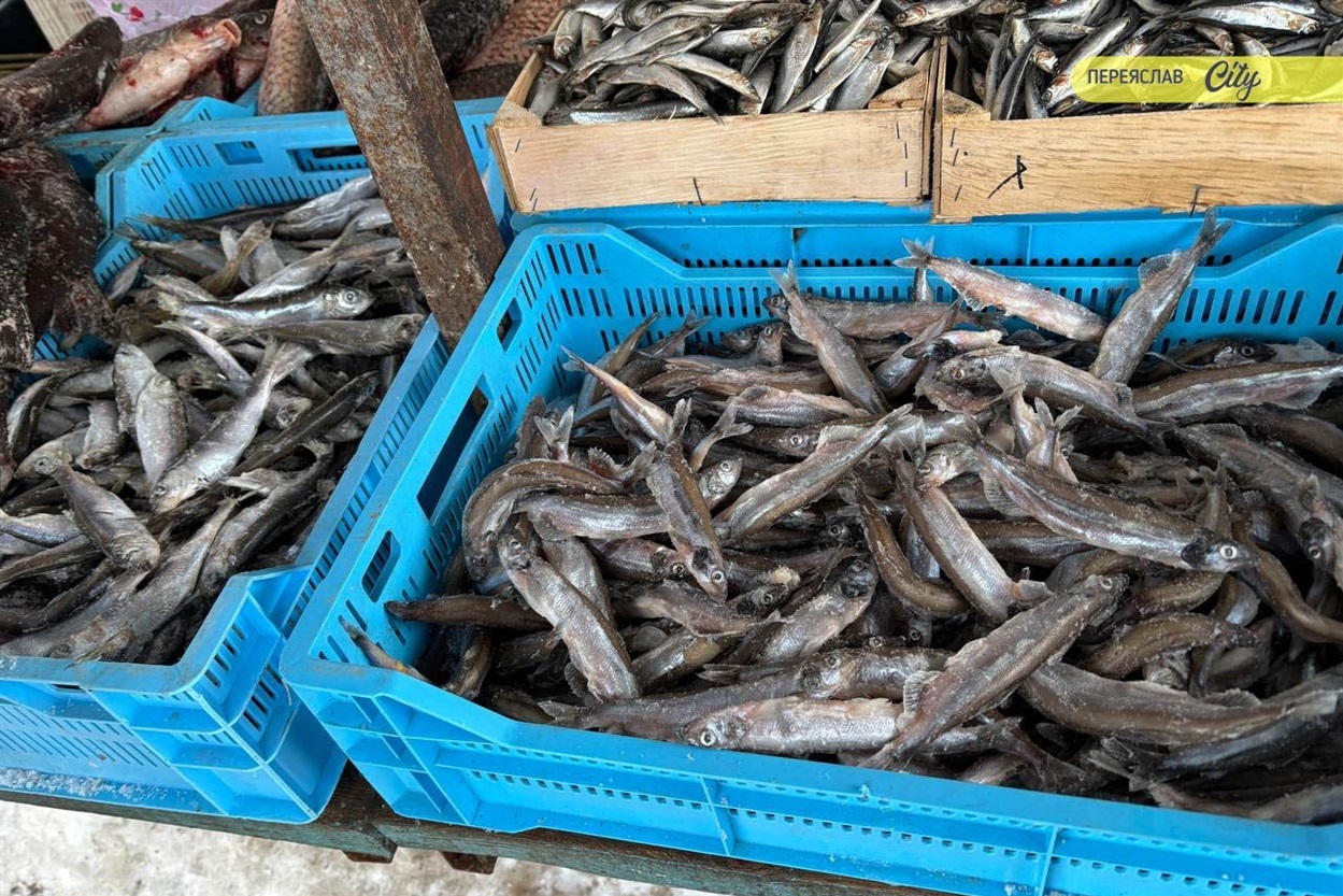 На базарі в Переяславі брали соняшникове насіння для синичок по 200 грн, значно здорожчало молозиво