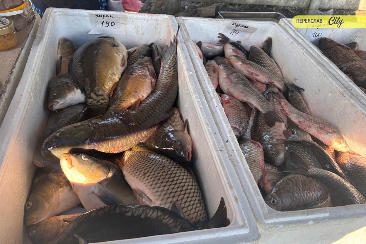 У Переяславі на базарі на 50 гривень подорожчав свинячий ошийок