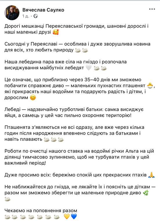 У Переяславі виявили вбитого лебедя: напередодні на річці скасували роботи через гніздування птахів