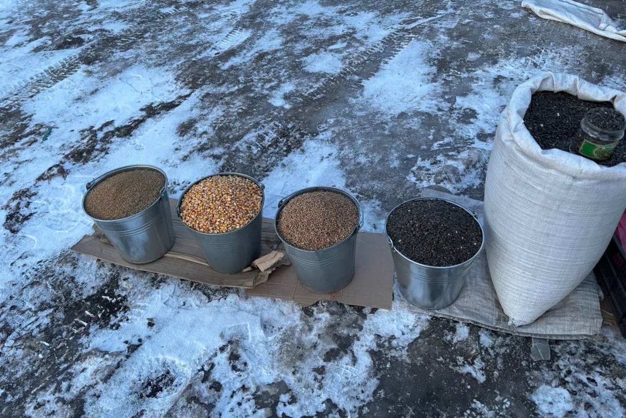 "Не страшно торгувати на морозі": на базарі у Переяславі продавці переймалися, щоб не померзли яйця