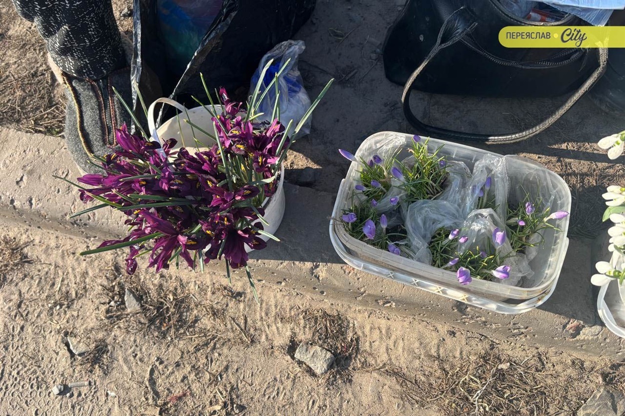 У Переяславі на базарі на 50 гривень подорожчав свинячий ошийок