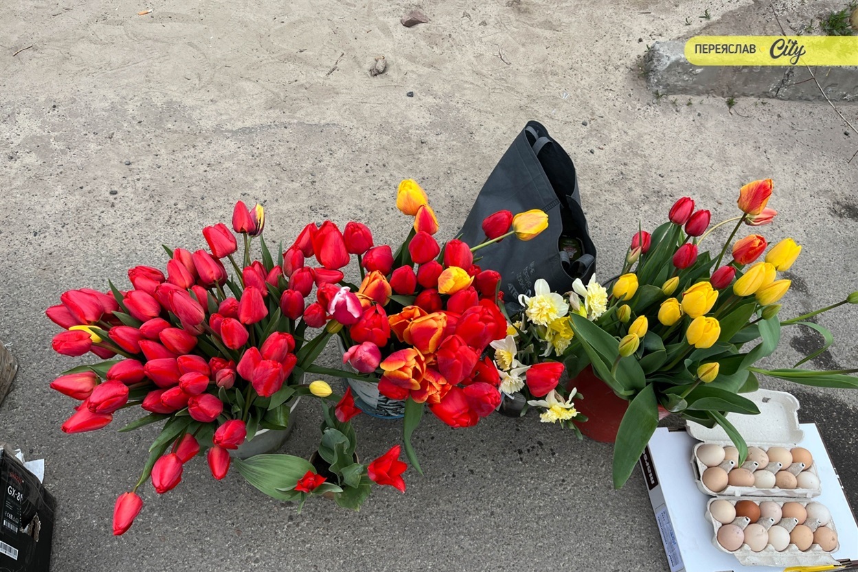 На базарі у Переяславі почали продавати розсаду огірків – по 25 гривень за рослину