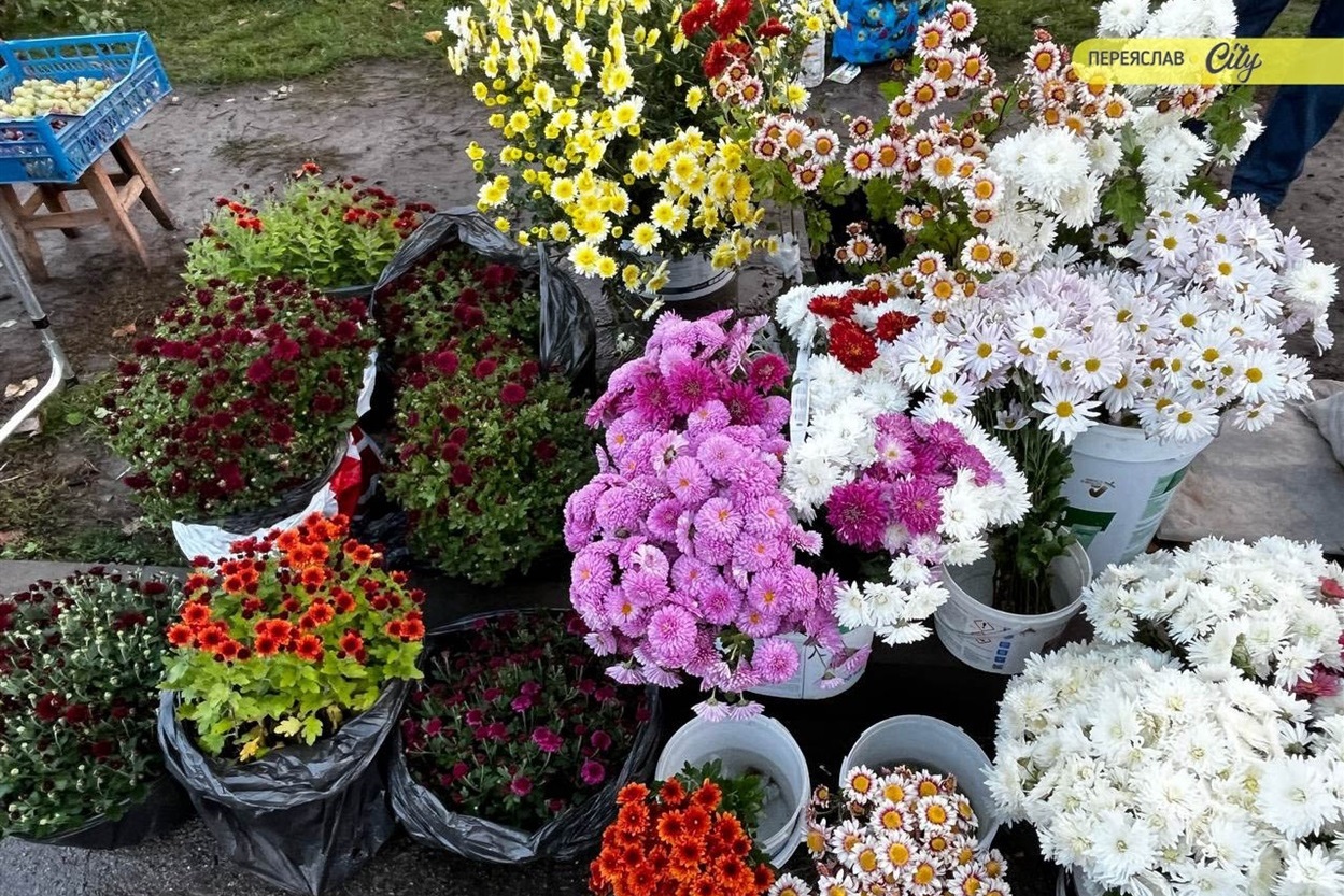 На базарі у Переяславі продавали незвичайний перець "Дзвіночок" по 50 грн, а чилі по 1 грн