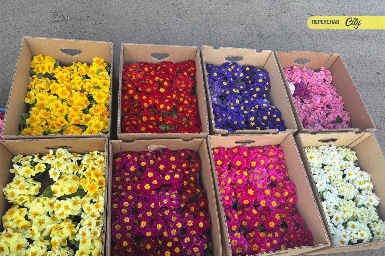 У Переяславі на базарі на 50 гривень подорожчав свинячий ошийок