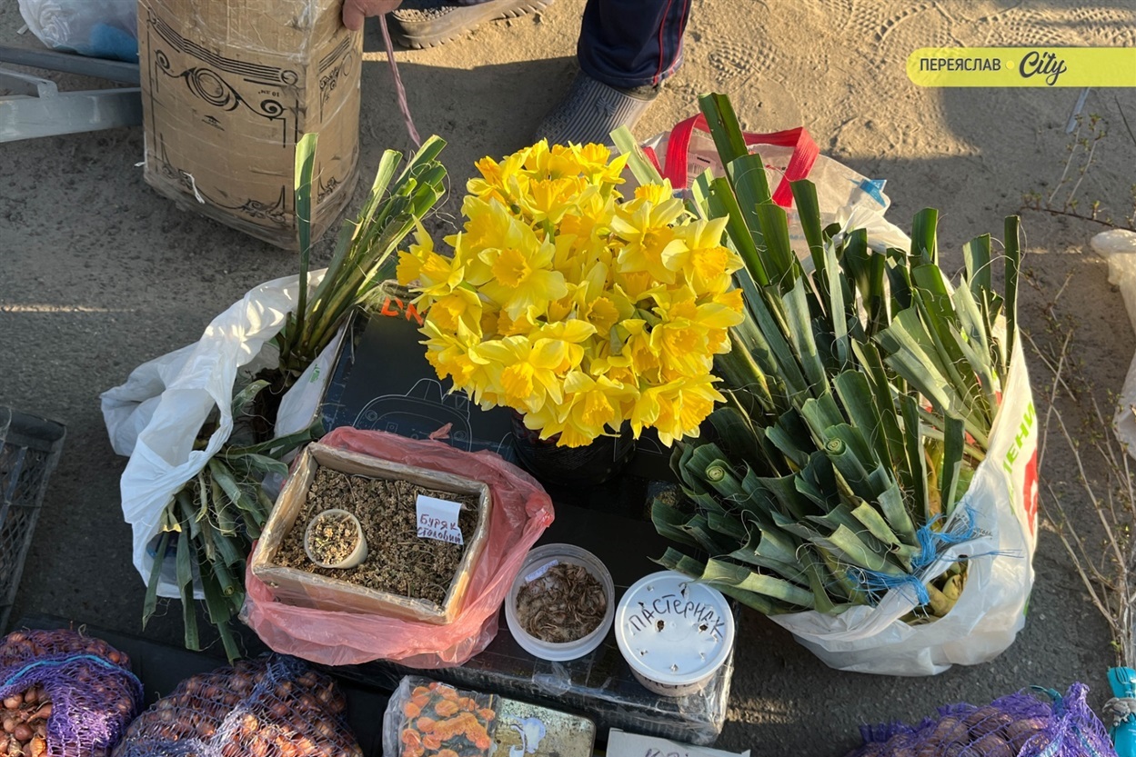 На базарі у Переяславі подорожчала курятина на 20 гривень, а свинячу підчеревину продавали по 380