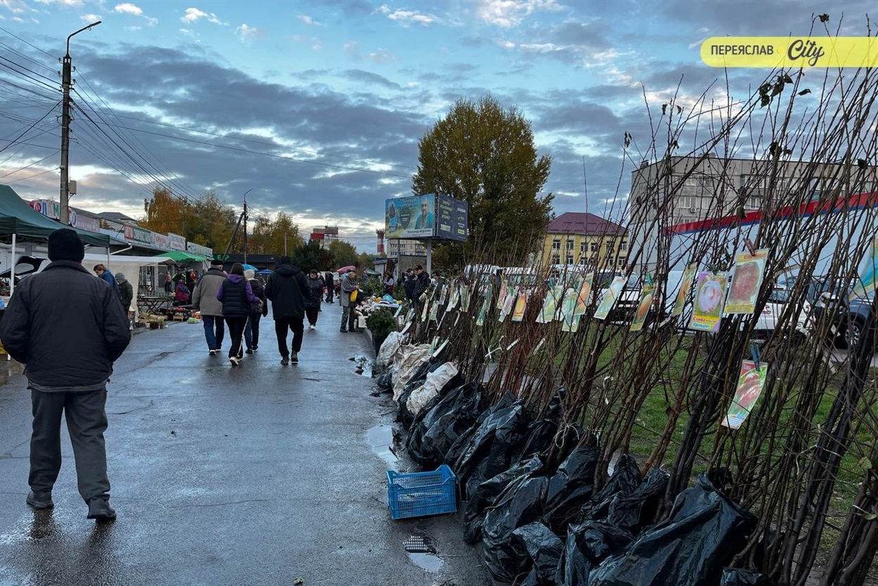 На базарі у Переяславі продавали незвичайний перець "Дзвіночок" по 50 грн, а чилі по 1 грн
