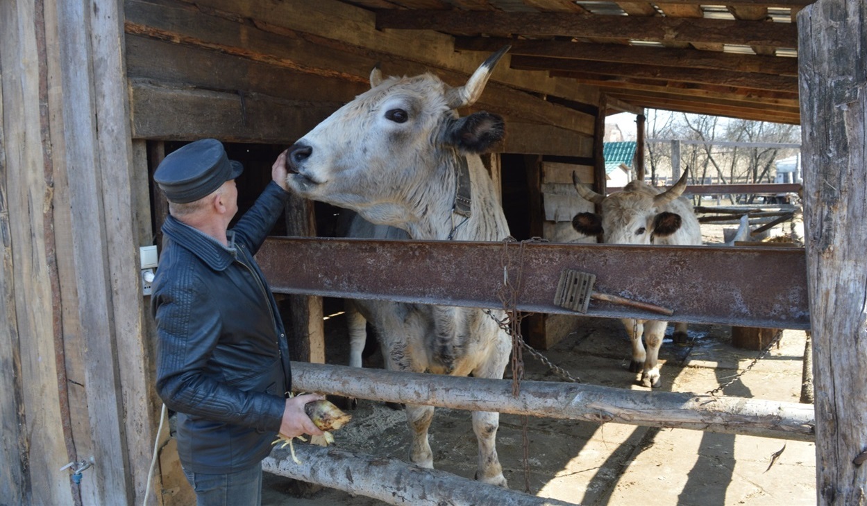 Віл Макар вже знімався в кіно
