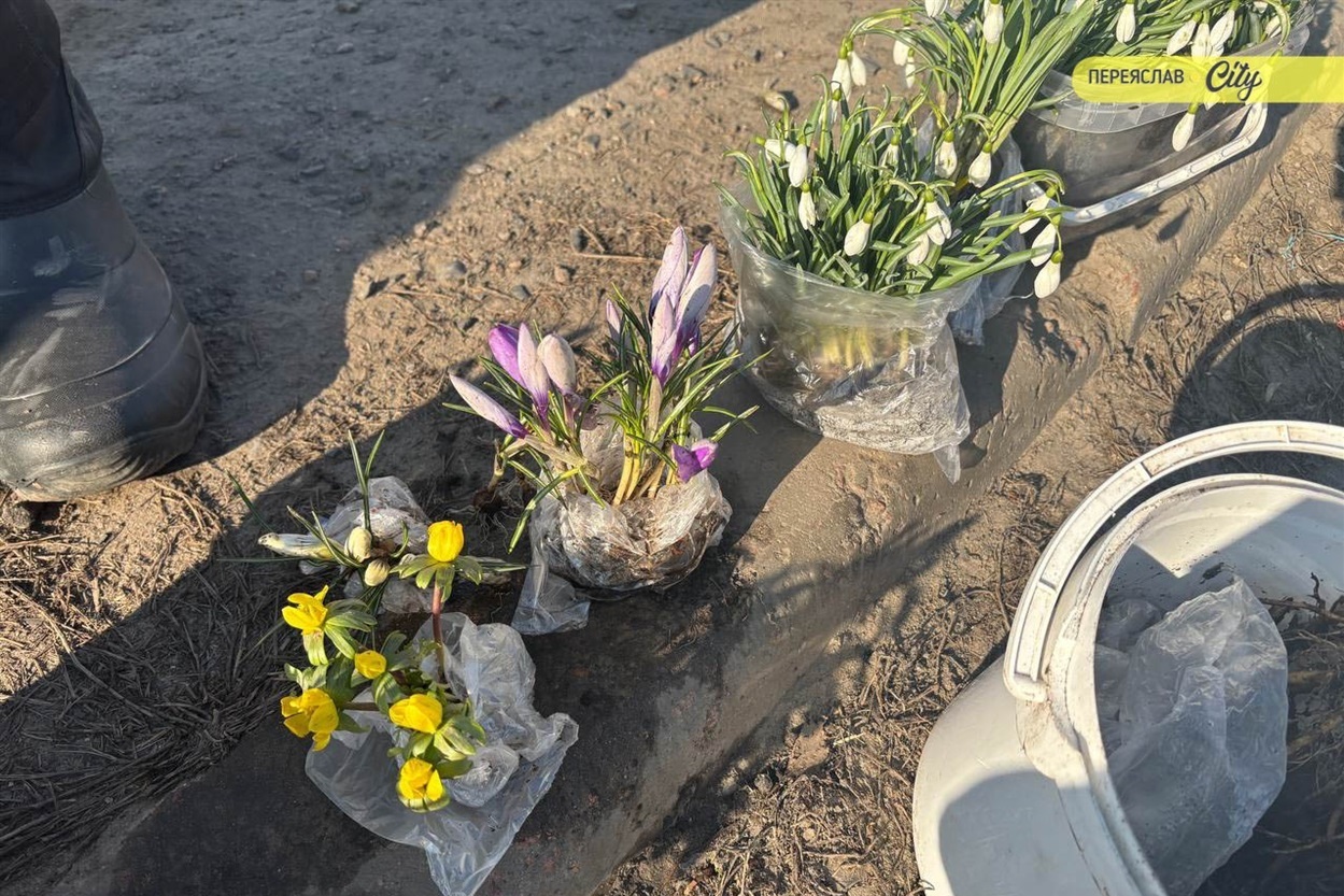 У Переяславі на базарі на 50 гривень подорожчав свинячий ошийок