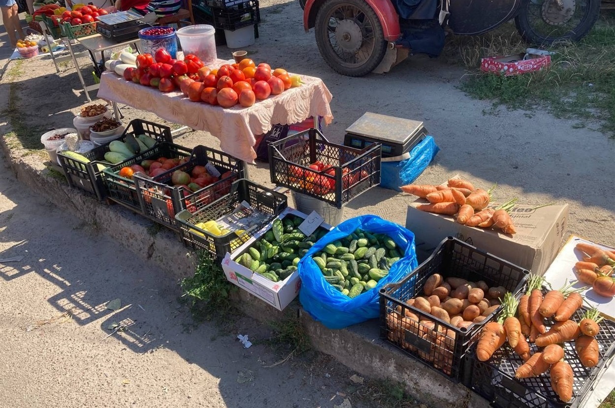 Був великий вибір домашньої городини
