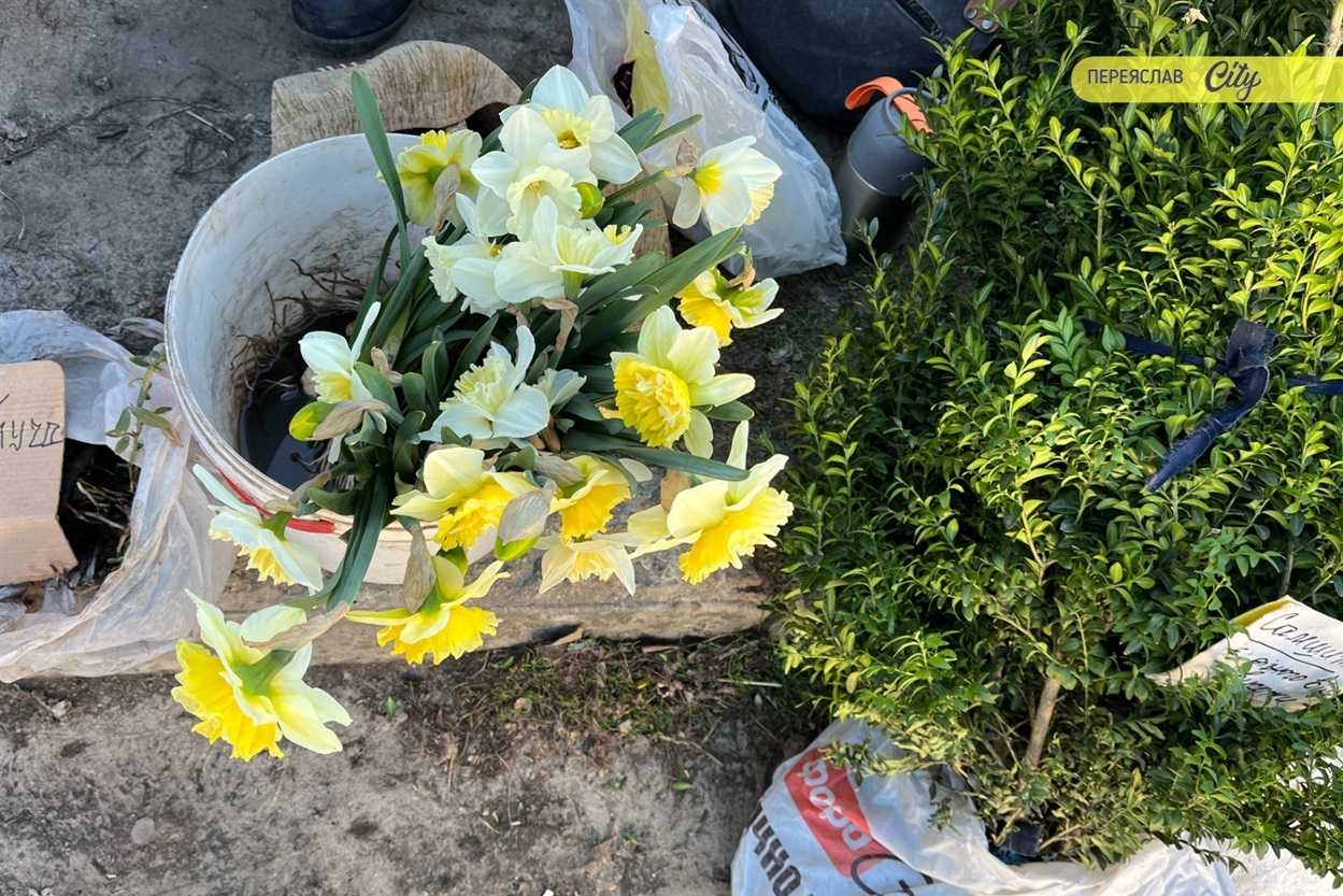 На базарі у Переяславі подорожчала курятина на 20 гривень, а свинячу підчеревину продавали по 380