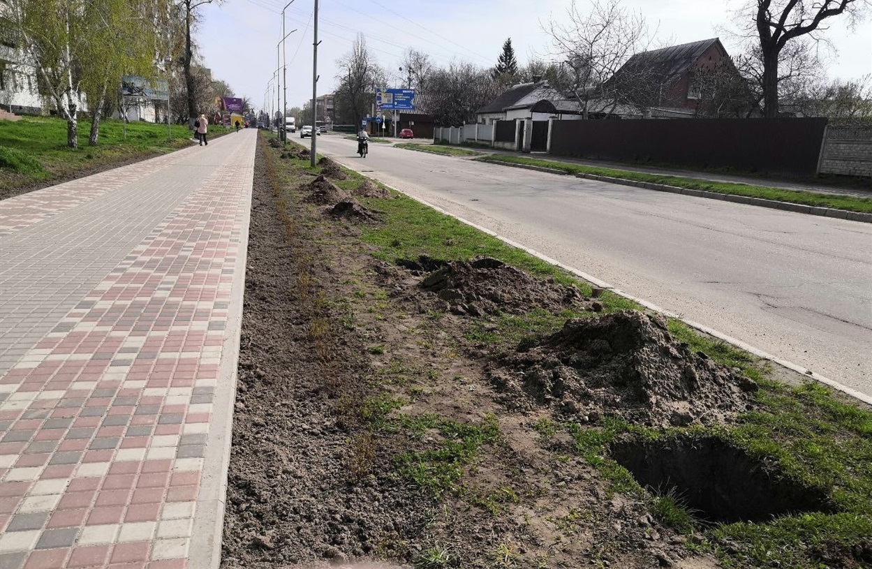 Заготовлені ями для декоративних вишень довелося перекопати 
