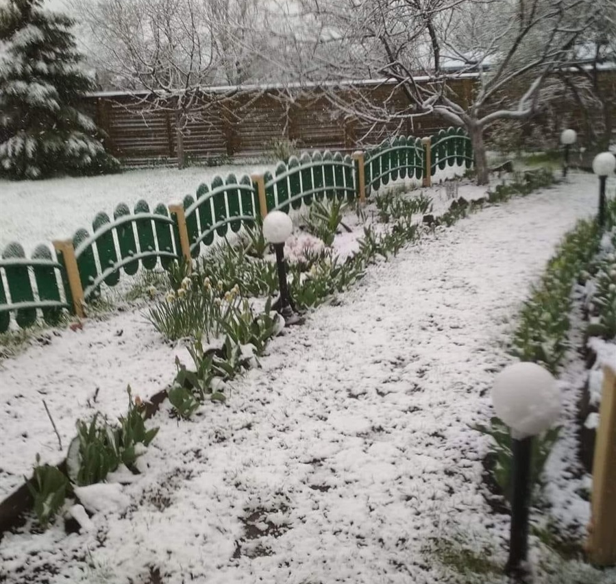 сніг весною