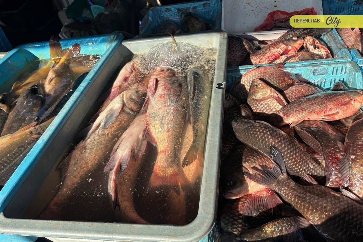 У Переяславі на базарі на 50 гривень подорожчав свинячий ошийок