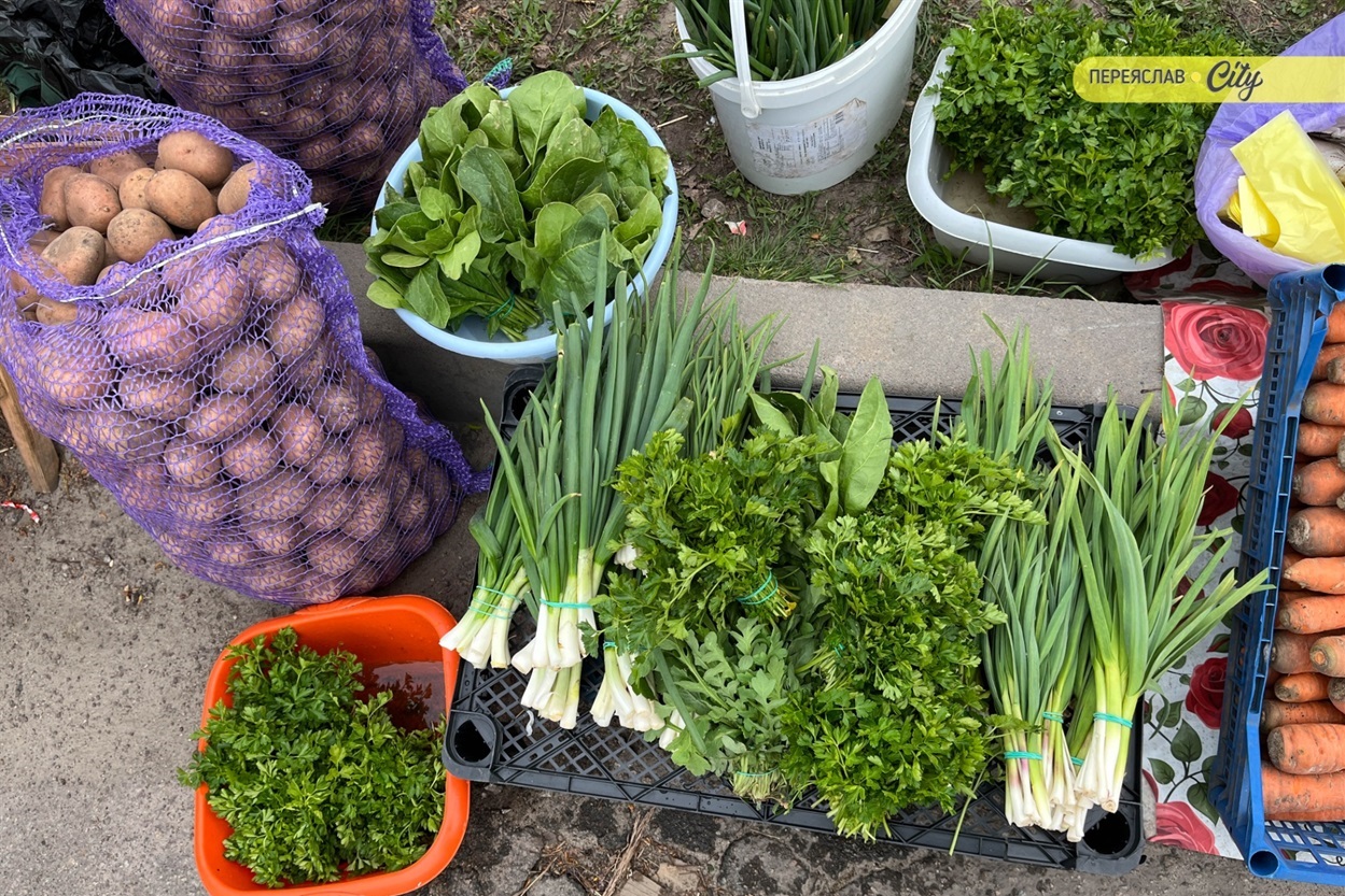 На базарі у Переяславі почали продавати розсаду огірків – по 25 гривень за рослину