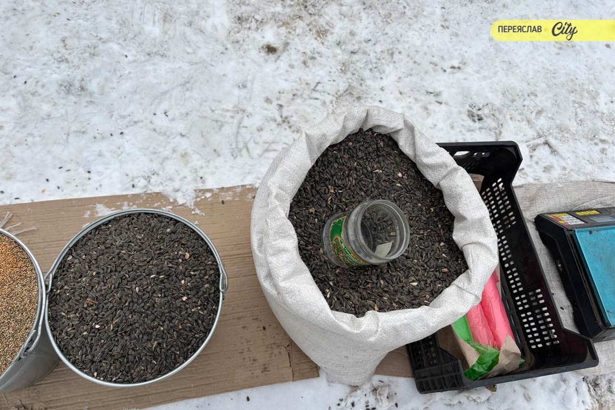 На базарі в Переяславі брали соняшникове насіння для синичок по 200 грн, значно здорожчало молозиво