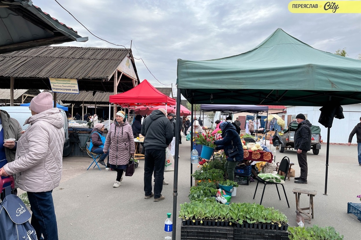 На базарі у Переяславі почали продавати розсаду огірків – по 25 гривень за рослину
