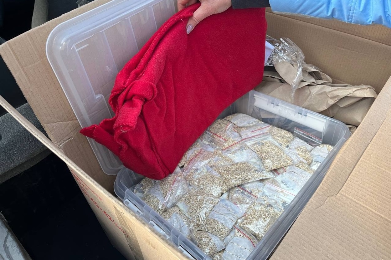 "Після смерті Віті я продовжую його місію", — Олена Гичко, дружина полеглого Героя Віталія Чорногора.