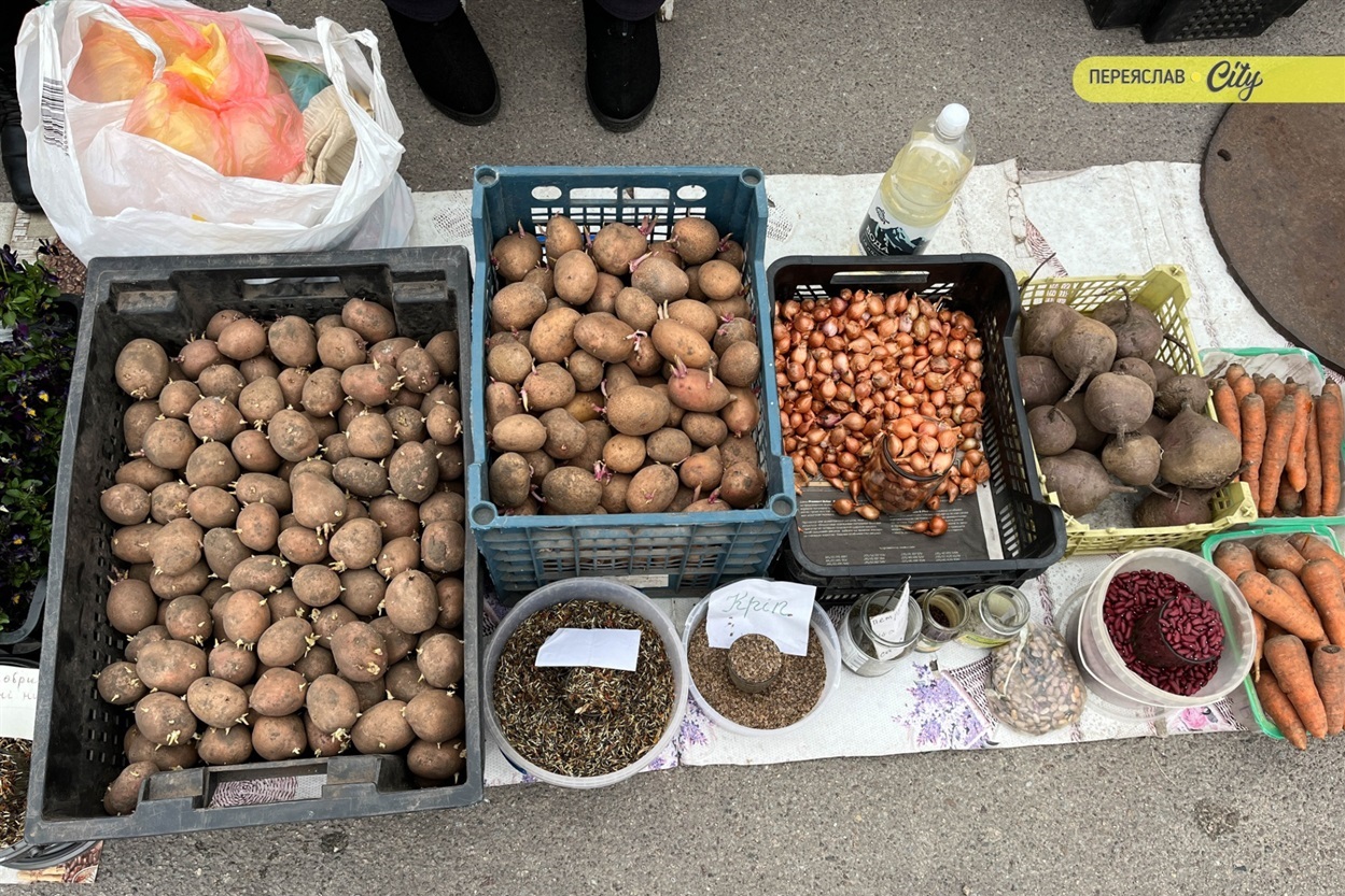 На базарі у Переяславі почали продавати розсаду огірків – по 25 гривень за рослину