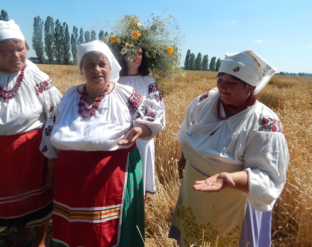 "Пшеничка гарна вдалася!"