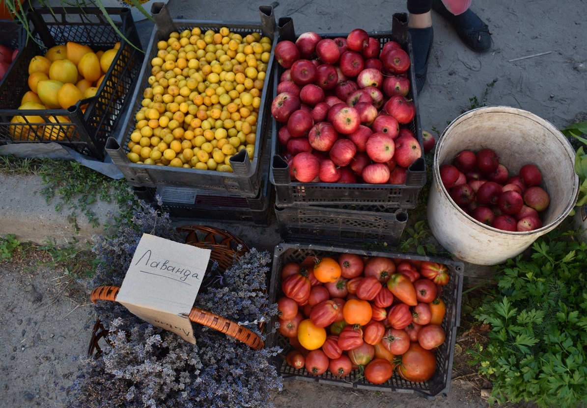 Соковиті яблука по 15 грн за кіло