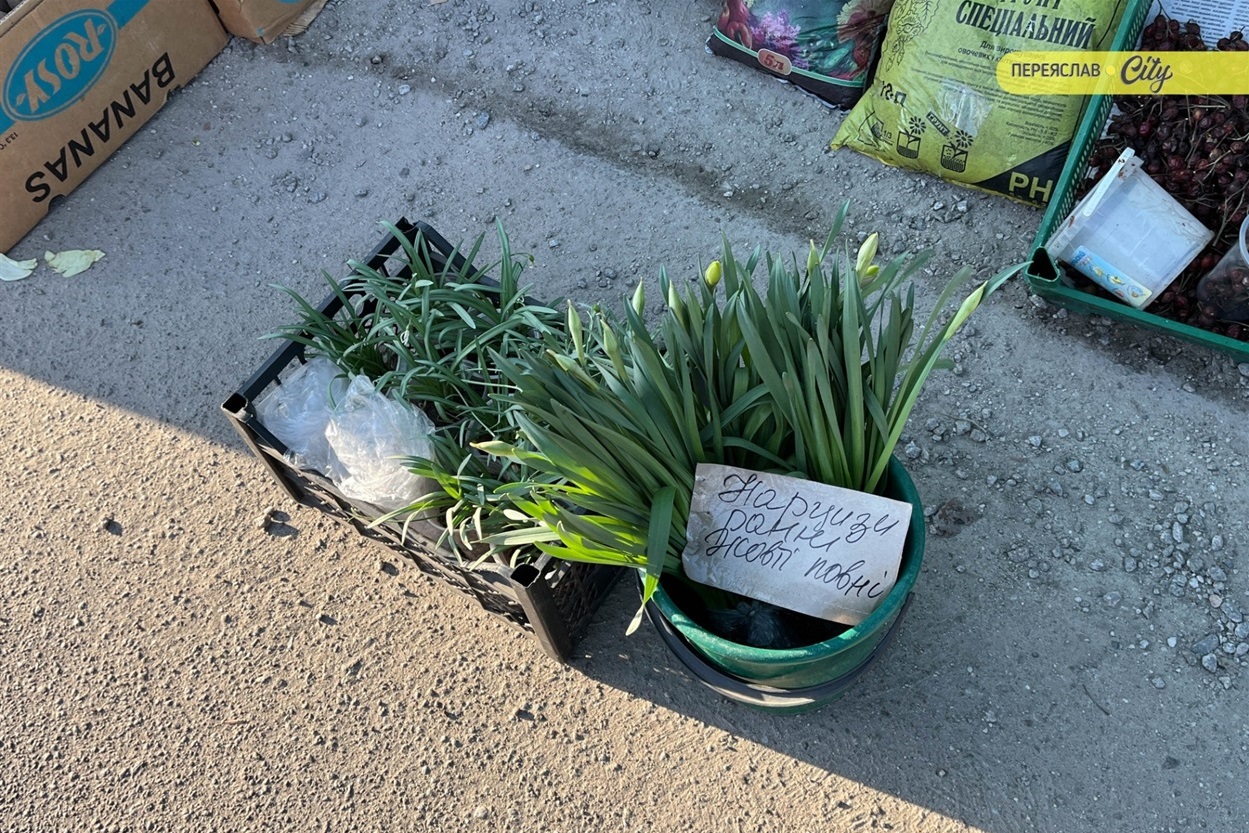 На базарі у Переяславі подорожчала курятина на 20 гривень, а свинячу підчеревину продавали по 380