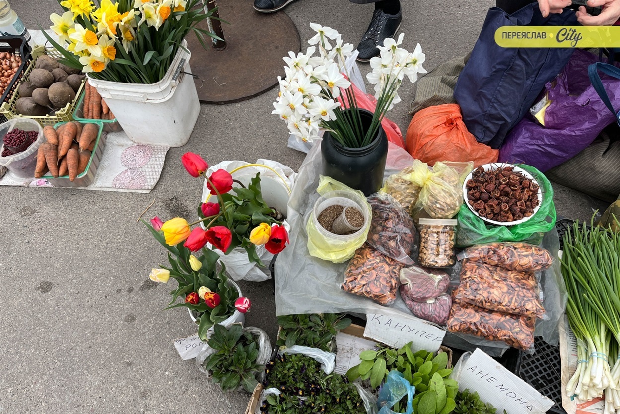 На базарі у Переяславі почали продавати розсаду огірків – по 25 гривень за рослину