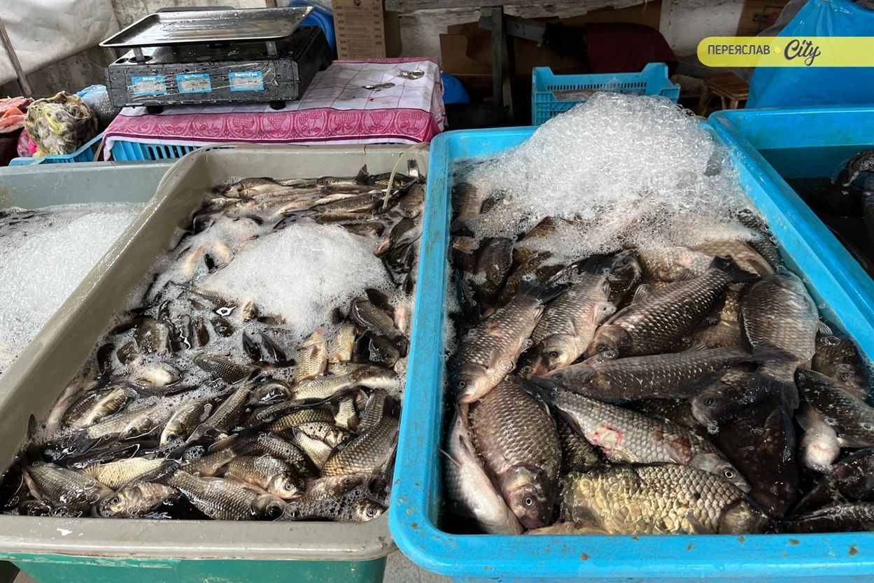 На базарі у Переяславі почали продавати розсаду огірків – по 25 гривень за рослину