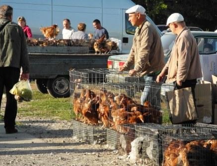 На пташиному ринку всі ознаки закінчення сезону 