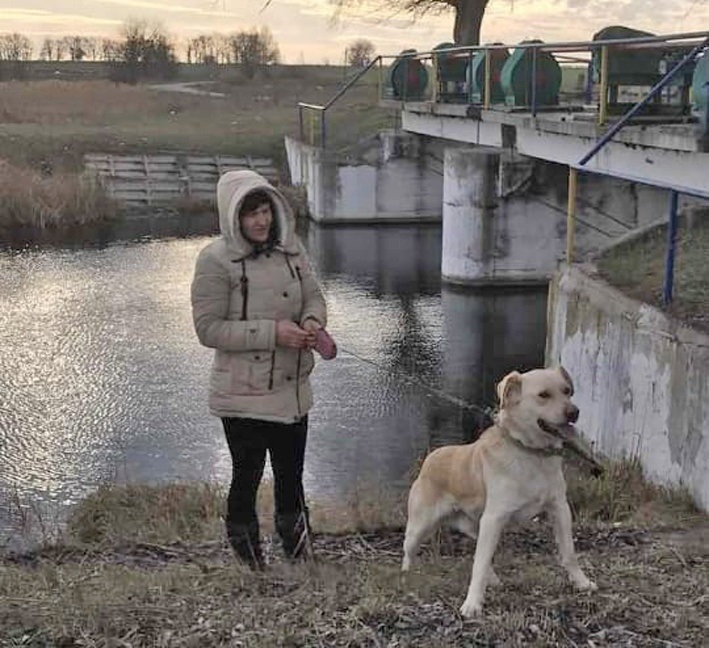 Лабрадор на прогулянці