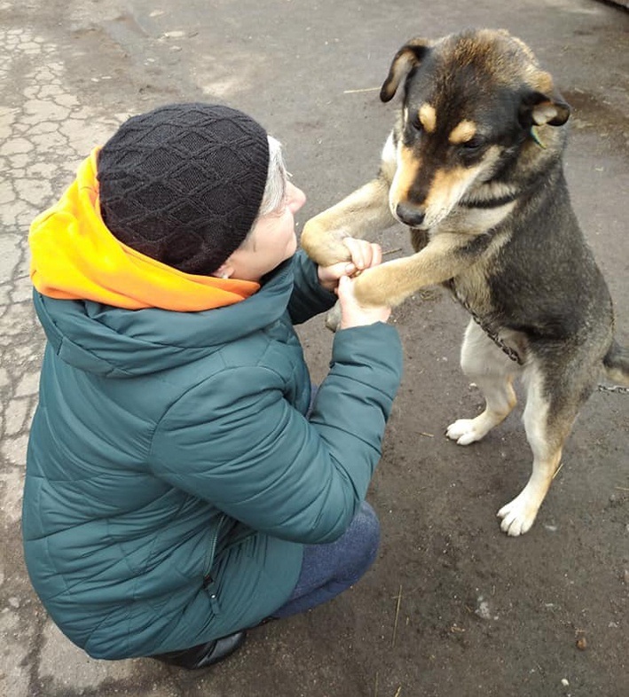 Інна Мендиль приїхала в притулок «за другом»