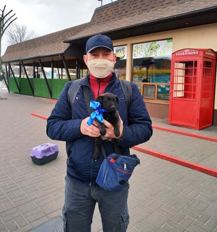 Деяких підкинутих цуценят вдалося прилаштувати в добрі руки