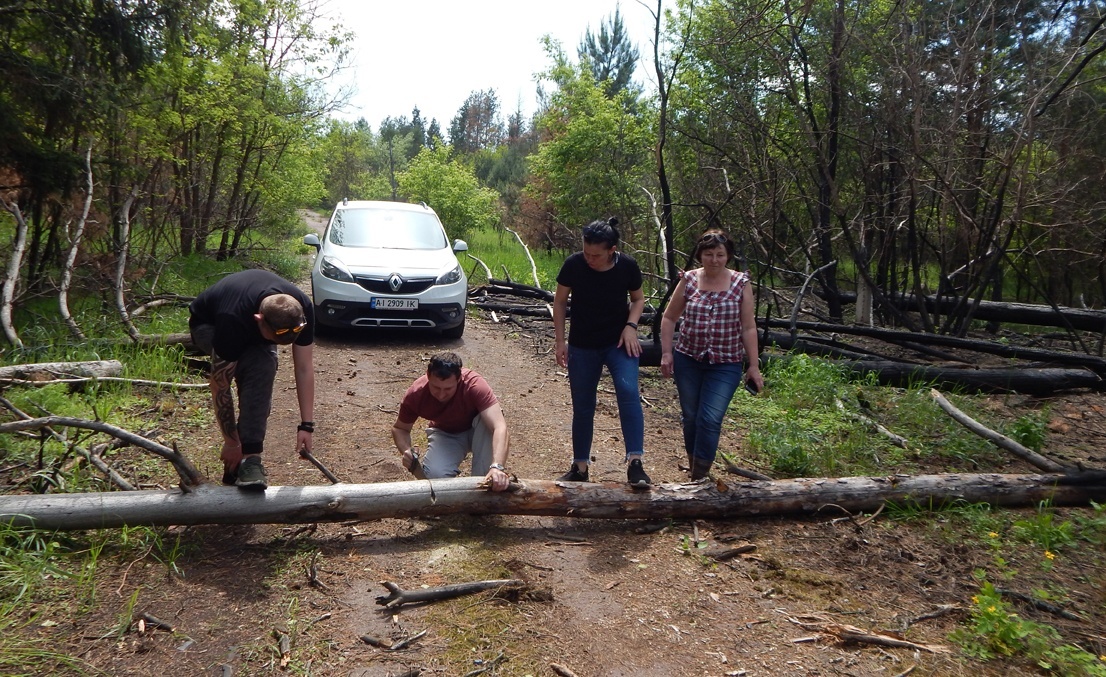 В’їзд у Буда-Варовичі загородило дерево