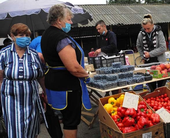 Багато ягід та овочів було привізних 