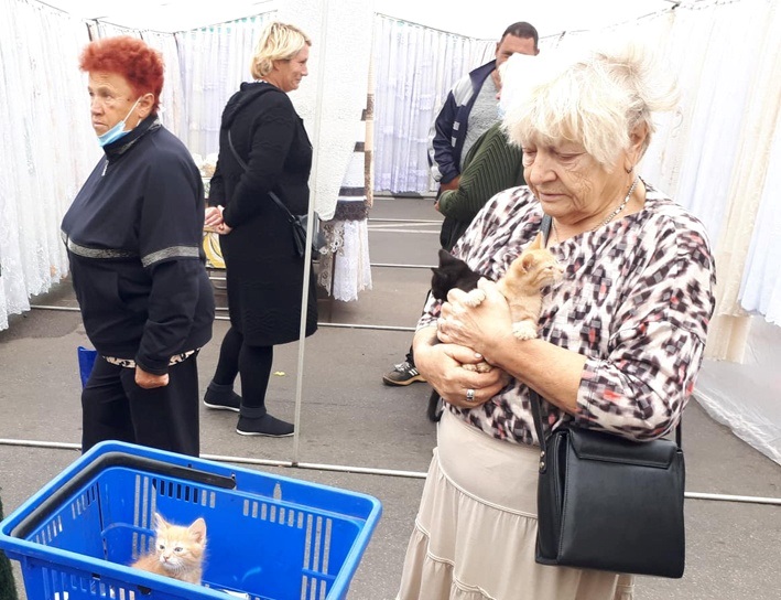Людмила Федоровська  намагалася прилаштувати в добрі руки трьох кошенят 