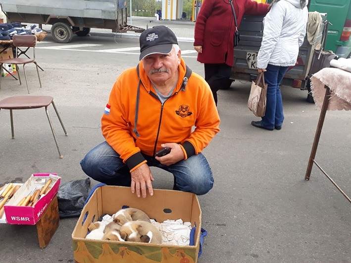 Іван із Переяслава приніс на базар милих цуциків