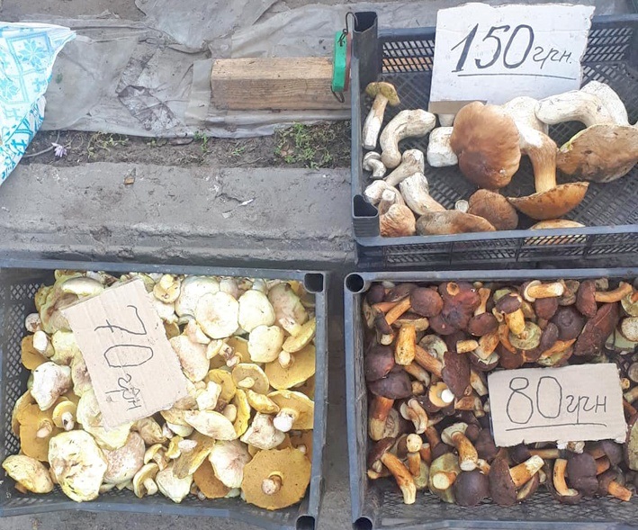 Білі гриби коштували переважно 150 гривень за кіло