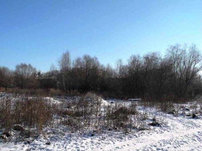 Інтернатівський сад 