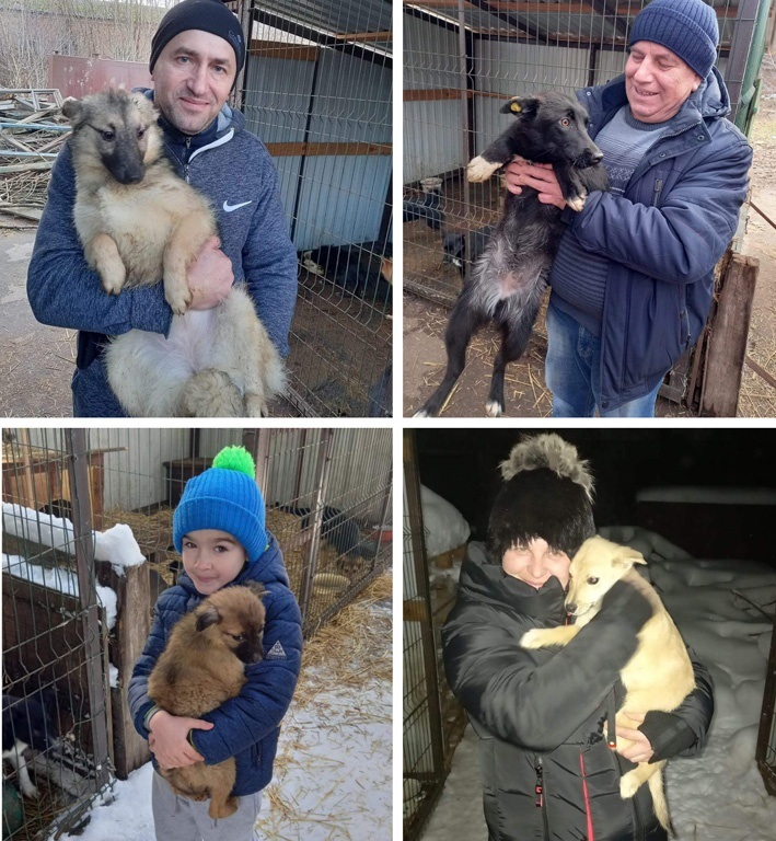 Йожик, Безхвоста, Моллі та Ляла знайшли люблячих господарів