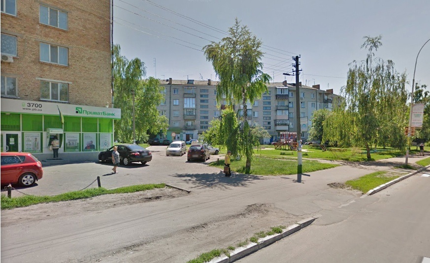 береза