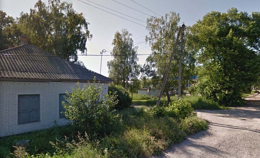 береза