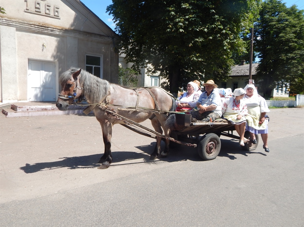 На поле жниці їхали на підводі